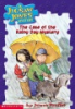 Book cover for "The case of the rainy day mystery".